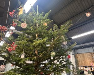 VERY!MERRY!CHRISTMAS!  in ファンガーデンMASAKI本店